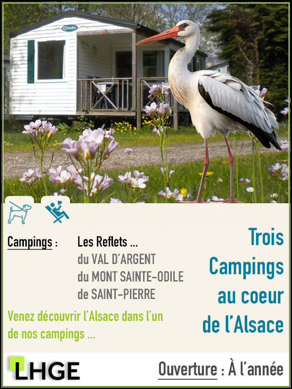 Camping-reflets-du-Mont-Sainte-Odile